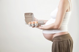 A mother’s prenatal egg intake may influence her child’s food allergy risk