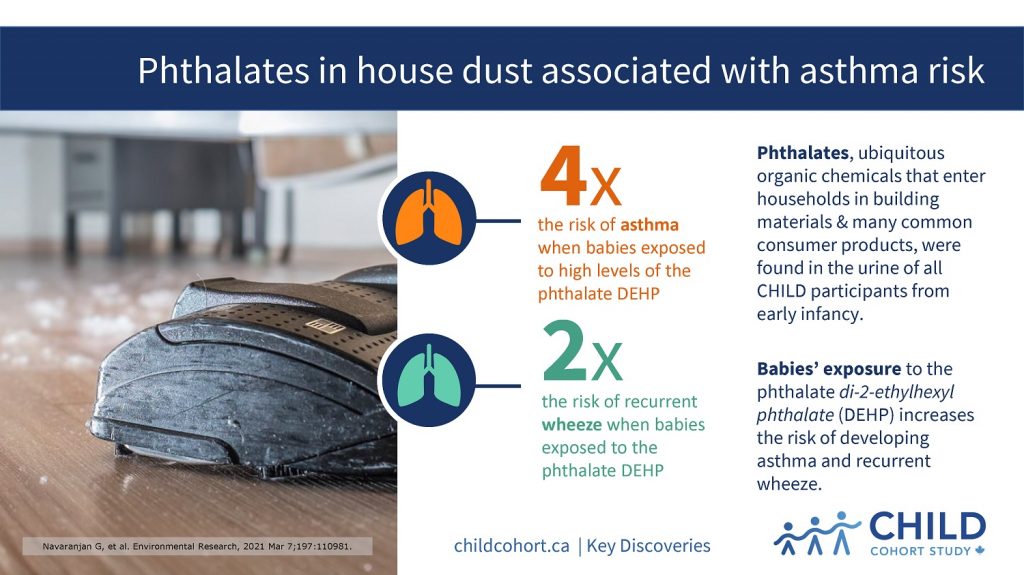 Phthalates In House Dust Associated With Asthma Risk - CHILD Cohort Study