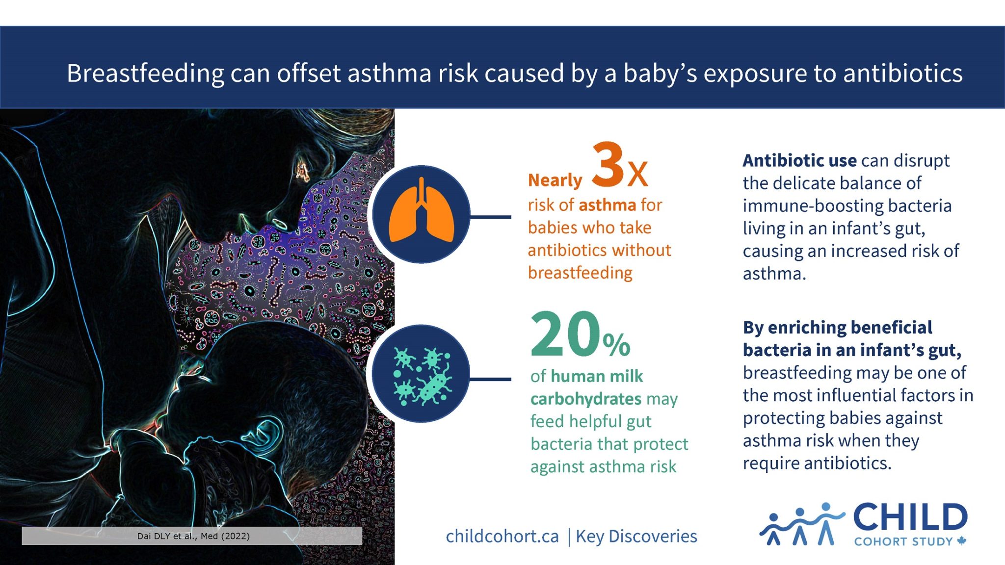 Breastfeeding can offset the asthma risk caused by a baby’s exposure to