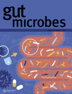 gut